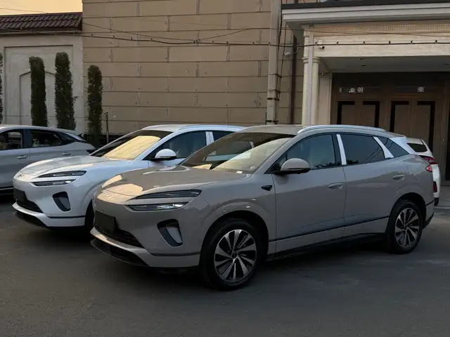 BYD Sea Lion 06, 2025, Худжанд - 3