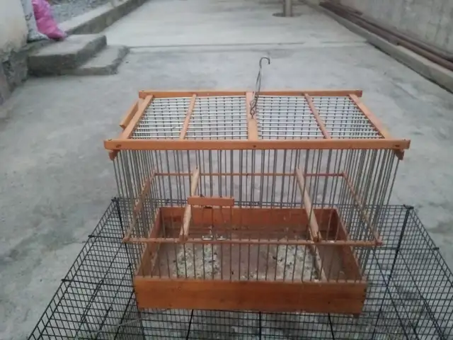 Кафас, Хуҷанд