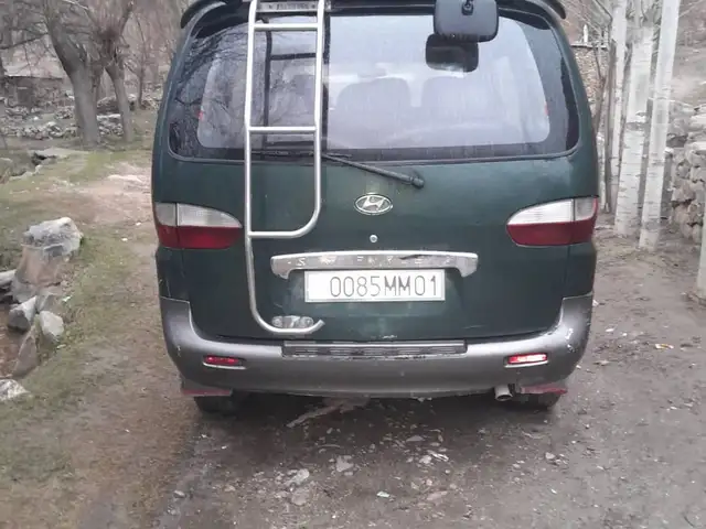 Hyundai Starex, 1998, Рушан