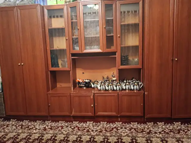 Стенка, Душанбе