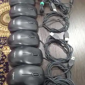 Мышки, Душанбе