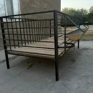 Клетка, Джаббор Расулов