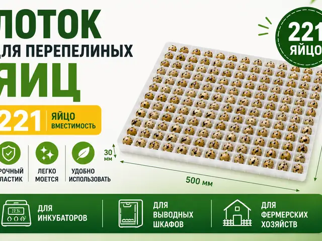 Ячейкаи 221тагаи тухми бедона барои инкубатор, Душанбе