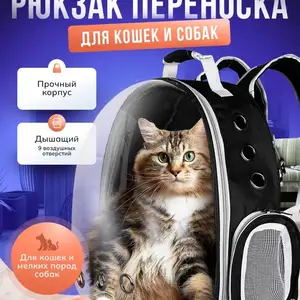Рюкзак переноска, Душанбе