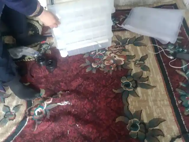 Инкубатор, Душанбе