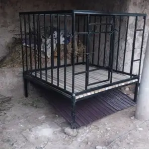 Клетка под заказ, Джаббор Расулов