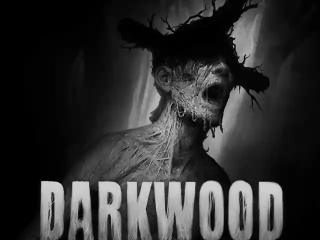 Игра Darkwood для PS-4 / 6.72 / 9.00 / 11.00 / 11.52 / 12.02 /, Душанбе
