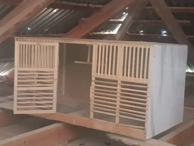 Кафас, Душанбе