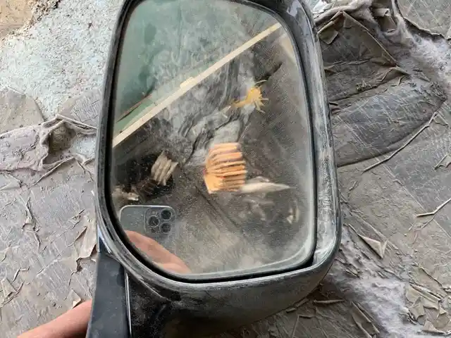 Зеркало от Toyota, Душанбе