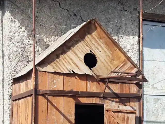 Скворечник для голубей, Хуҷанд