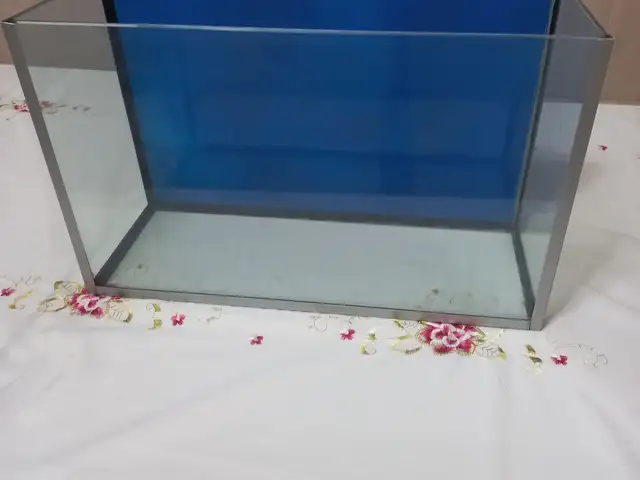Аквариум, Хуҷанд