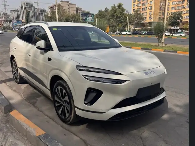 BYD Sea Lion 06