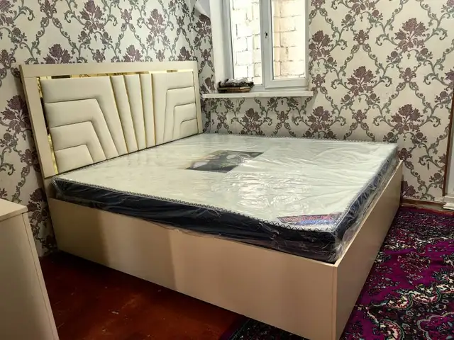 Двухспални крават, Душанбе
