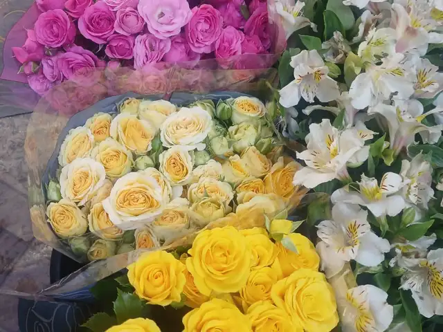 Цветы, Душанбе