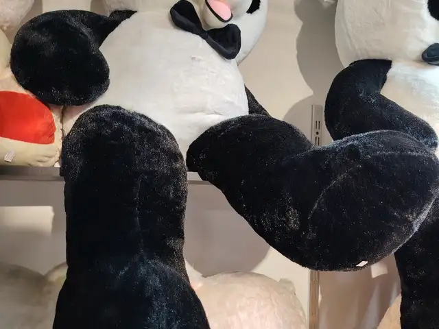 Панда, Душанбе