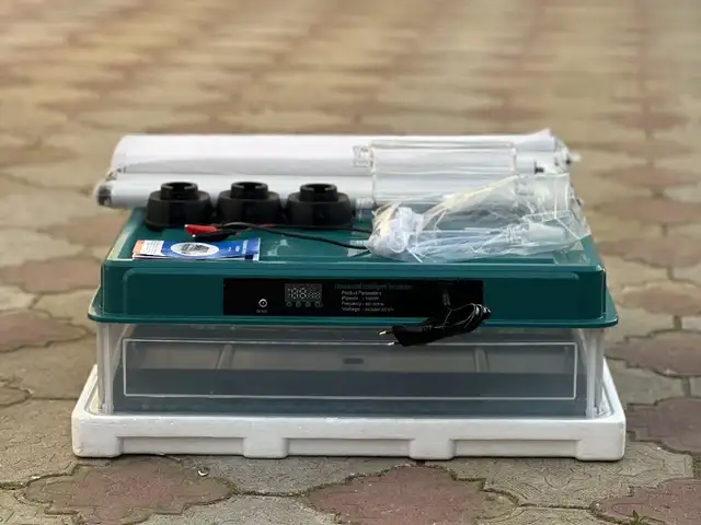 Инкубатор 130 тага, Восе - 11