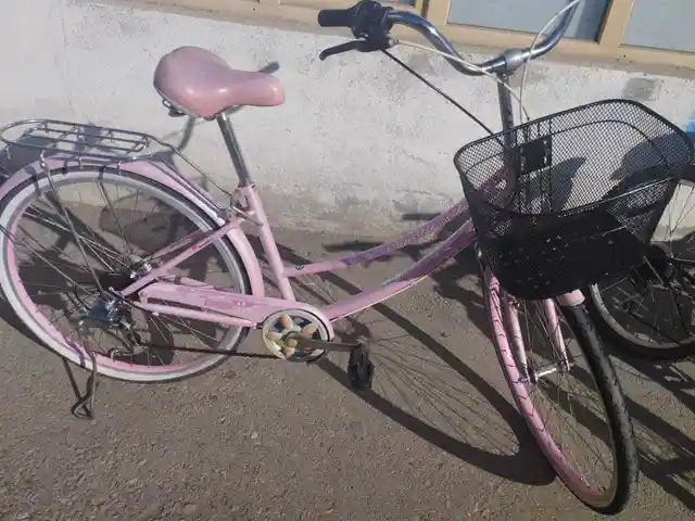 Велосипед, Душанбе