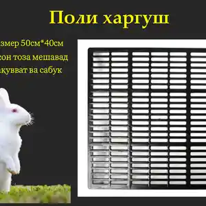 Поли харгуш, Душанбе