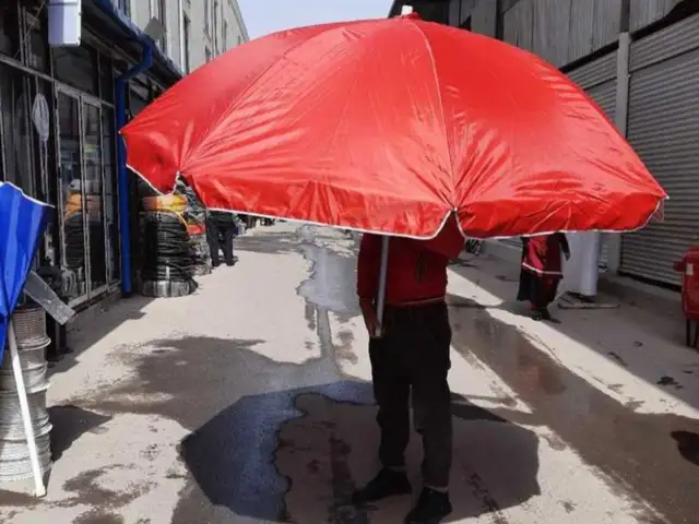 Зонтик гирдак, Душанбе