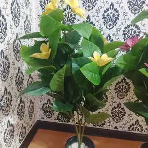 Искусственные цветы, Душанбе