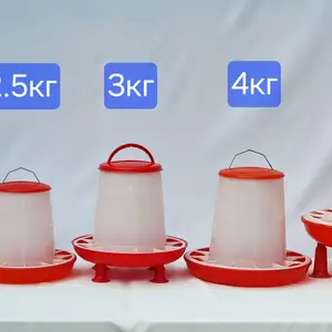 Кормушка/Донхураки бройлер, Душанбе