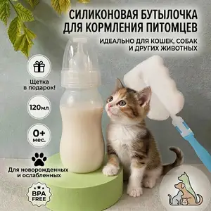 Бутылка для животных, Душанбе