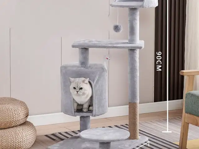 Домик-когтеточка, Душанбе