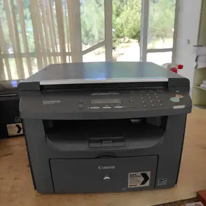 Принтер Canon 4018, Худжанд