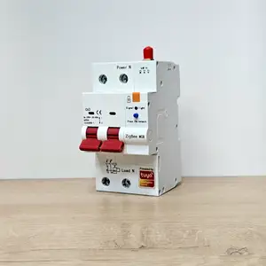Умный автоматический выключатель Zigbee с функцией мониторинга 2 клавишный, Душанбе