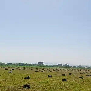 Пресс рушка, Восе
