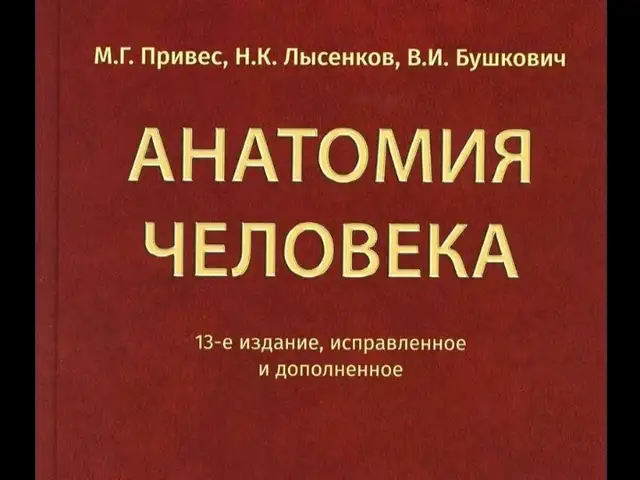 Книга Анатомия Человека, Душанбе