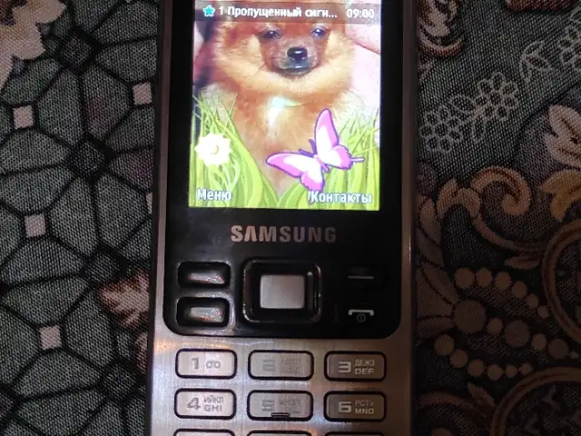 Телефон Samsung, Бохтар (Курғон-Теппа)
