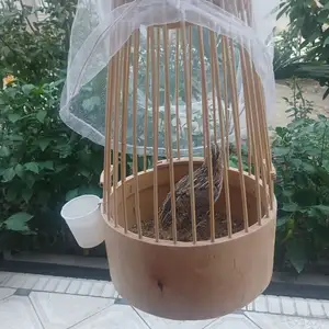 Бедона, Исфара