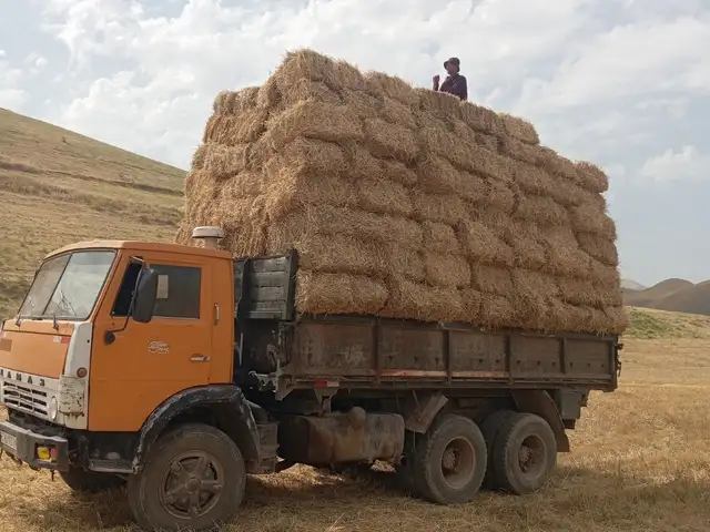 Самосвал, Данғара