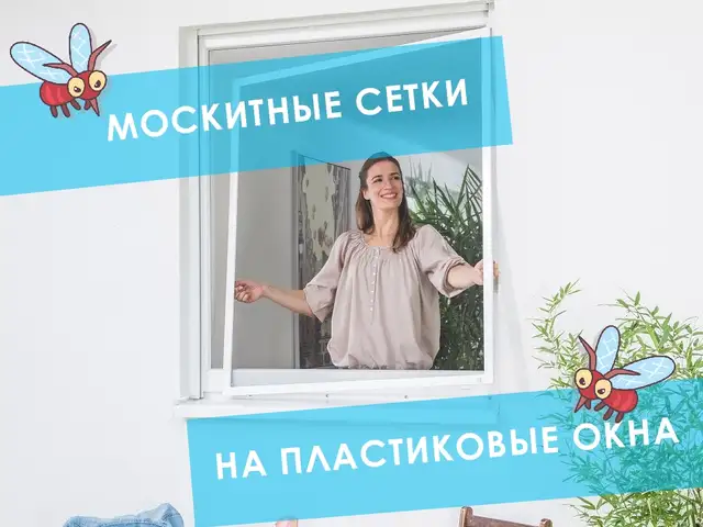Сетка против насекомых, Худжанд