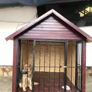 Вольер для собак, Душанбе