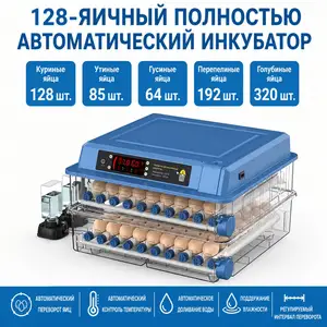 Автоматический инкубатор на 128 яиц, Душанбе
