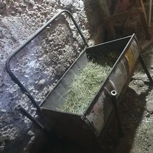 Охури гов, Хуҷанд