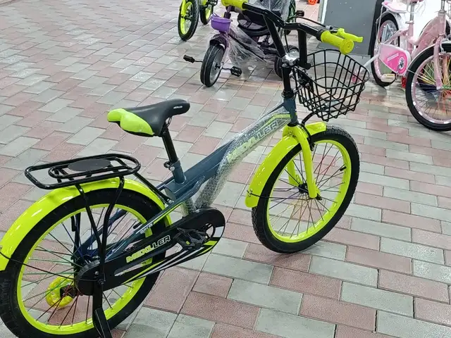Велосипед, Душанбе