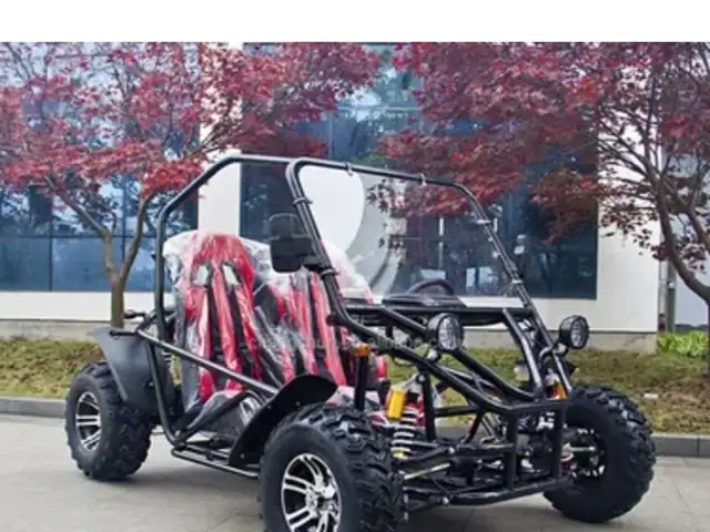 Багги Buggy Rapid 2 2000W синий, Душанбе