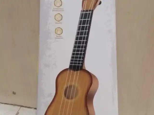 Гитара игрушечная, Истаравшан