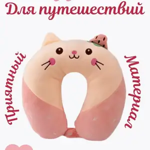 Подушка для путешествий, Душанбе