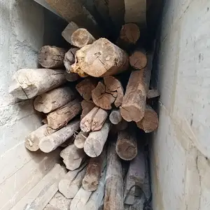 Круглые брусья, Душанбе