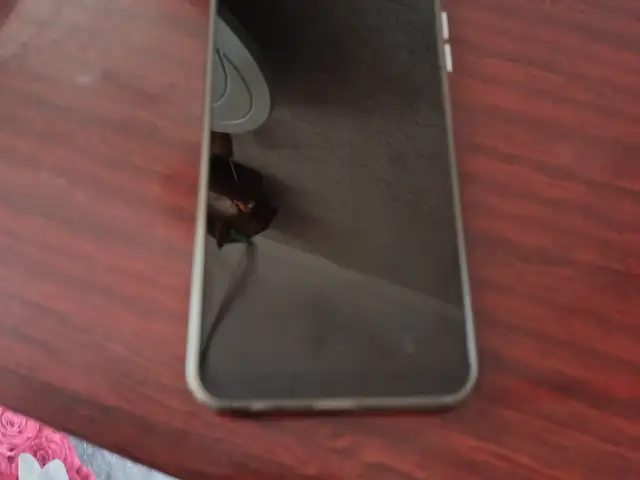 Realme C33, Худжанд