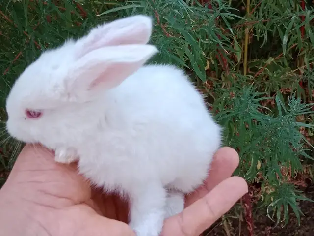 Харгушча 9км, Душанбе