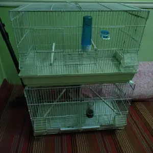Клетка для птиц, Хуҷанд