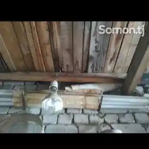 Лампы дневного света, Душанбе