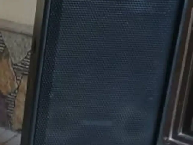 Динакорд, Худжанд