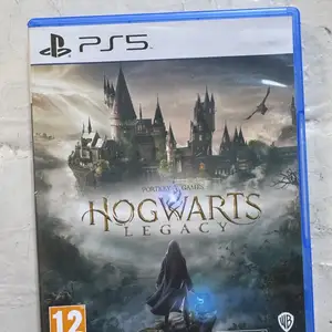 Игра Hogwarts Legasy PS5, Гиссар