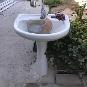 Раковина, Душанбе